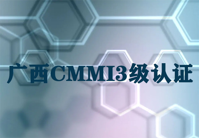 ​广西CMMI3级认证-广西桂能软件有限公司