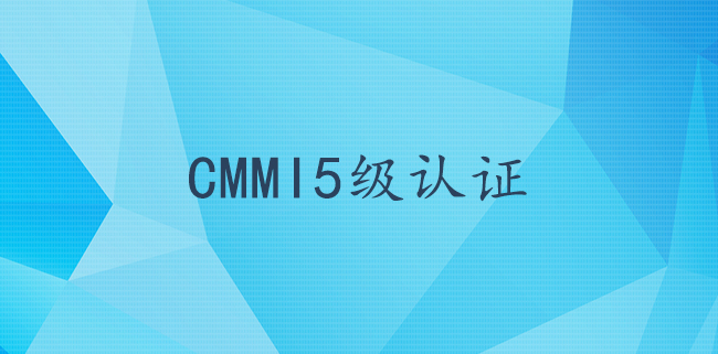 CMMI5级认证的关键成功要素有哪些？.jpg