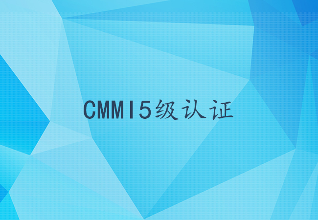 CMMI5级认证的关键成功要素有哪些？