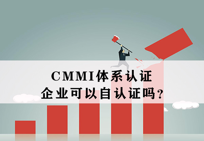 ​CMMI体系认证-企业可以自已认证吗？-海南领汇国际(图1)