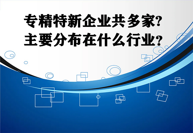 专精特新企业共多家？主要分布在什么行业？-海南领汇国际(图1)