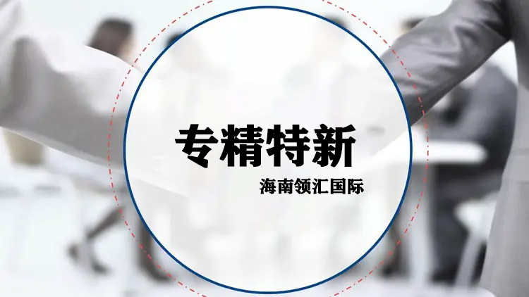 《专精特新中小企业发展报告》发布，详细阐述专精特新重要举措和成效(图2)