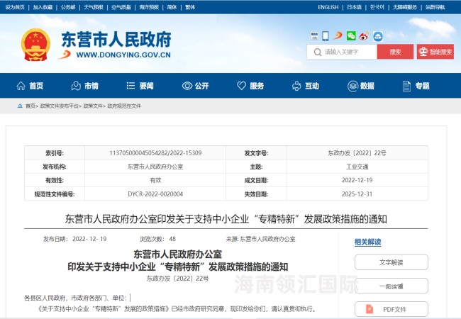 山东东营专精特新奖励政策-海南领汇国际(图1)