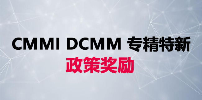 杭州余杭区CMMI认证、DCMM认证、专精特新政策奖励-海南领汇国际(图1)