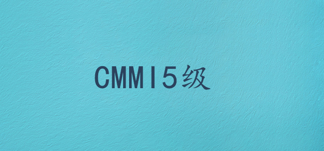 CMMI5级在软件行业中的认可度如何？(图1)